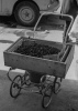 Cart Cart