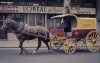 Horse and Carriage Horse and Carriage