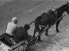 Horse and cart - Montevideo, 1976