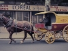 Horse and Carriage - Montevideo, 1976