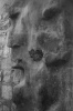 Face Face