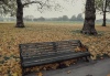 Bench - Hyde Park, 1990