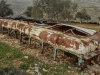 Bustop - Samaria, 1995