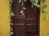 Dog and door - Athens, 1995