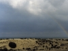 Rainbow - Camp Nuria, Gaza Strip, 1990