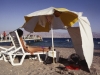 Fanny - Coral Beach, Eilat,1992