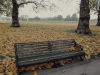 Bench - Hyde Park, 1990