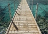 Walkway - Eilat, 2004