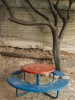 Tree and table - Herzlia, 2001