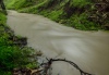 Stream Stream