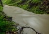 Stream Stream