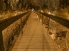 Tunnel Tunnel
