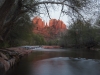 Red rock - Sedona, 2004