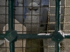 Gravestones - Istanbul, 2005