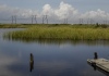 Wetlands Wetlands