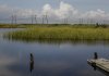 Wetlands Wetlands