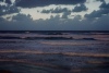 Surf Surf