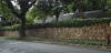 Wall Wall
