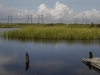 Wetlands - Everglades, Florida, 2007