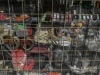 Shop window