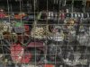 Shop window