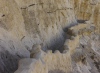 Path - Nachal Zin, Negev, 2010