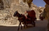 Horse and carriage