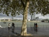 Rhine bank - Cologne,2012