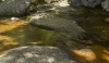 Stream - Crabtree Falls, Virginia, 2011
