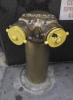 Hydrant - New York City, 2011