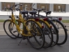 Bicycles - Vilnius, 2013