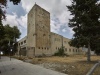 Yoav Fort