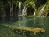 Pond