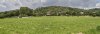 Linksfield Ridge