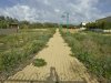 Path