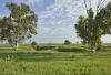 Naama Farm - Negev, February 2024