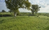 Naama Farm - Negev, February 2024