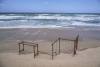 Jungle Gym