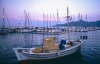Boats