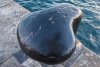 Bollard