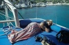 Fanny - Cold Water Bay, Turkey, 1997