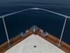 Bow