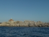 Island with Seagulls , Dubrovnik - 2009