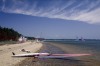 Windsurfer