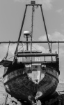Sailing 1966-2016