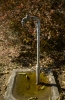 Tap