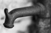 Spout