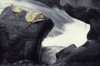 Leaves - Banias, 1977