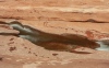 Redrock