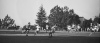 School Rugby